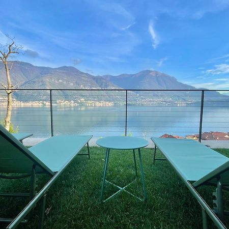 Il Noce Lake View Apartment Lezzeno Exteriér fotografie