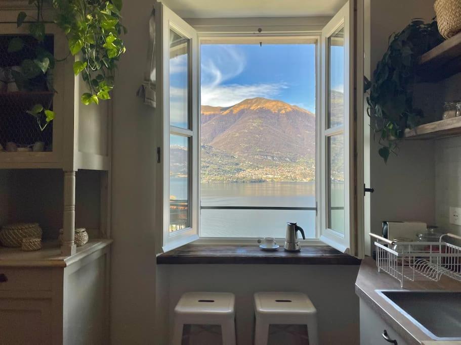 Il Noce Lake View Apartment Lezzeno Exteriér fotografie